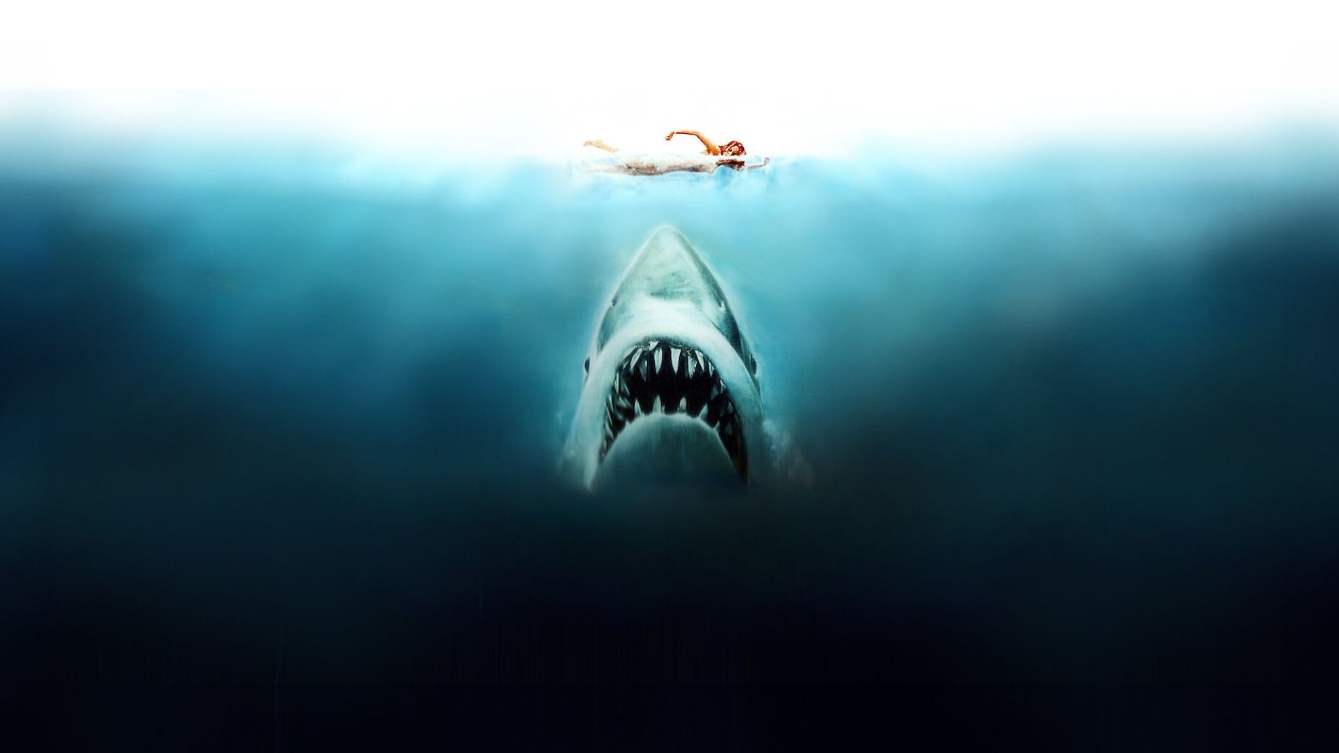 Film backdrop for Jaws - 50th Anniversary